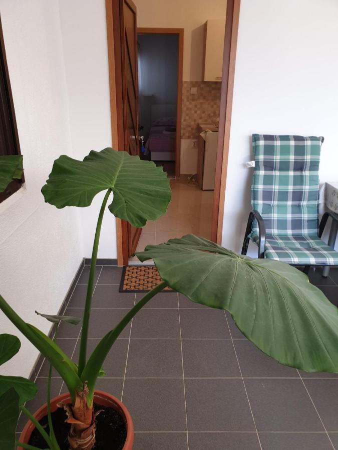 Vito Apartment Starigrad Paklenica Luaran gambar